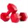  SET FITNESS PILATES Kurzhanteln BITUMINIUMGEWICHTE FÜR ÜBUNGEN 2x4kg