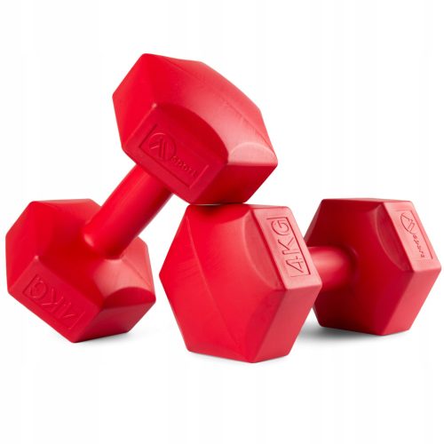 SET FITNESS PILATES Kurzhanteln BITUMINIUMGEWICHTE FÜR ÜBUNGEN 2x4kg
