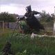  Halloween-Gartendekoration, schreiende Vogelscheuche