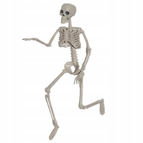  Skelettkörper Skelett Halloween Requisiten H 160