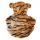  Tiger Halloween Hundekostüm warm und klassisch S