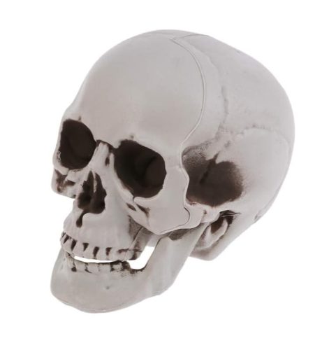  KÜNSTLICHER SCHÄDEL GRAU SCHATTIERTER SCHÄDEL 20CM