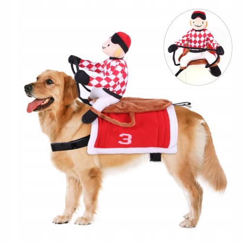  Hundereitkostüm für Halloween und Weihnachten