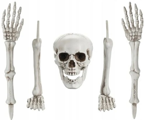  Deko Skelett BONES Skelett Totenkopf Arme Beine Halloween 5 Stk.