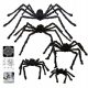  Chbop 4 x gruselige Spinne, Riesenspinne