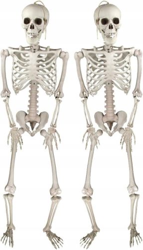  2 x hängende Skelette, 35 cm, Skelett-Set, Ornament, Halloween-Dekoration