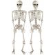  2 x hängende Skelette, 35 cm, Skelett-Set, Ornament, Halloween-Dekoration