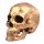  1PC Totenkopf Actionfigur Halloween Totenkopf Requisite