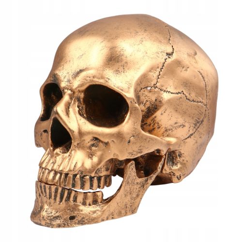  1PC Totenkopf Actionfigur Halloween Totenkopf Requisite