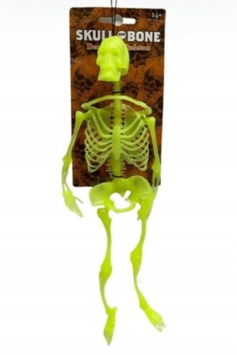  Leuchtende Skelett-Halloween-Dekoration, fluoreszierend, 10 Stück