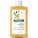 Klorane Mango Butter Shampoo für trockenes Haar, 400 ml
