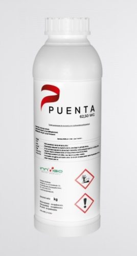 Effektives Fungizid Puenta 62,50 WG für den Gartenbau - 1kg