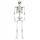  SKELETT KNOCHENKÖRPER 165 cm HALLOWEEN-DEKO