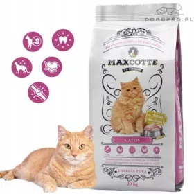 Maxcotte Gatos für Katzen 20 kg