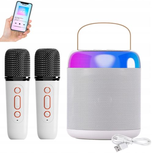  MIKROFON UND TRAGBARER LAUTSPRECHER, MINI-KARAOKE-MASCHINE, DRAHTLOSER BT-LAUTSPRECHER