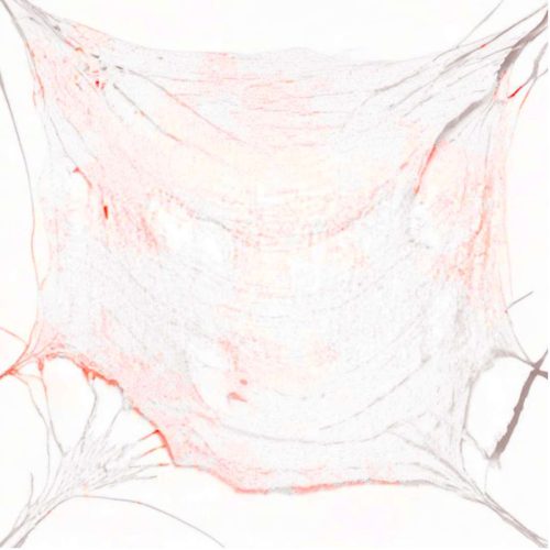  Dekomaterial mit Blutflecken 0,72x9,8m