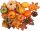  Kürbisse für Thanksgiving-Halloween-Tischdekoration