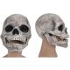  LATEX-SKELETTMASKE FÜR ERWACHSENE HALLOWEEN MIT BEWEGLICHEN KIEFER GRAU