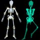  Skelett HALLOWEEN Deko, 90 cm, leuchtend