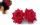  ROSE ROTE ROSEN HAARBLUME ROSEN FÜR EINEN CHINO 1933