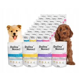    DOLINA NOTECI Premium Junior Nassfutter für Hunde, Geschmacksmischung, 40 x 100 g