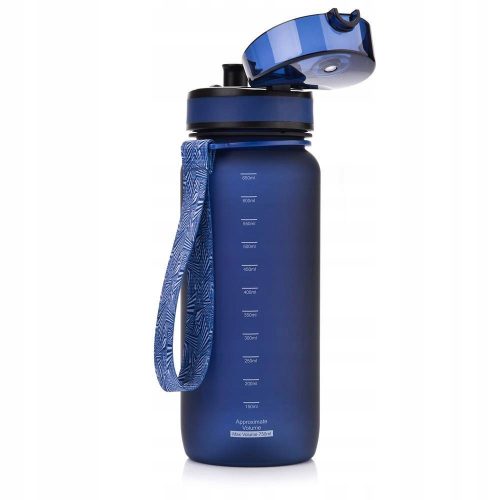  Meteorflasche 650 ml blau