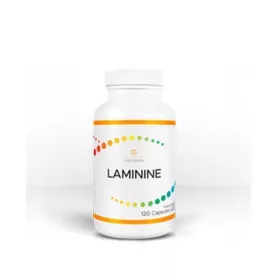   Laminine – Premium Nahrungsergänzungsmittel mit Fibroblasten-Wachstumsfaktor