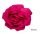  Brosche/Anstecknadel Große Satinblume Fuchsia/Amaranth 16 cm / 2965