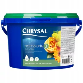    CHRYSAL PROFESSIONAL 3 - 2KG FÜR SCHWÄMM- UND FERTIGMASSEN / FÜR GIPS