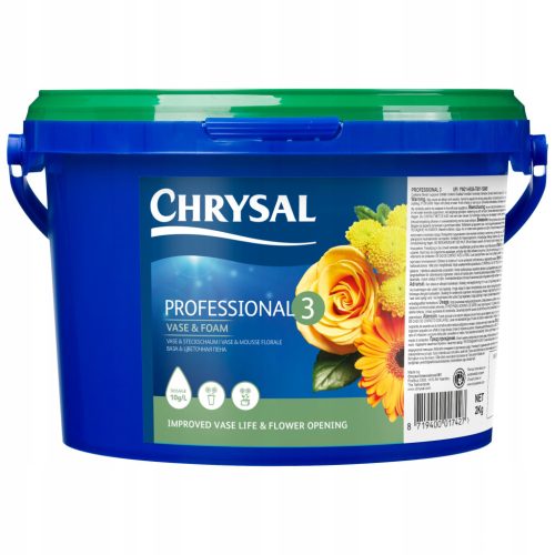  CHRYSAL PROFESSIONAL 3 - 2KG FÜR SCHWÄMM- UND FERTIGMASSEN / FÜR GIPS