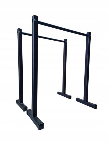  Dav-Ski P-4 Trainingsstangen 250 kg schwarz