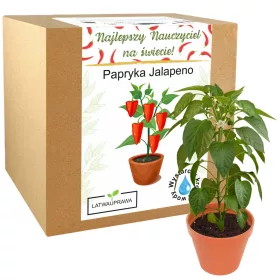    Geschenk zum Lehrertag, Jalapenopfeffer-Anbauset für die Schule