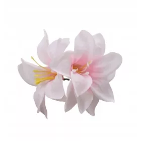    Wunderschöne, dekorative Haarnadel mit frischen Magnolienblüten