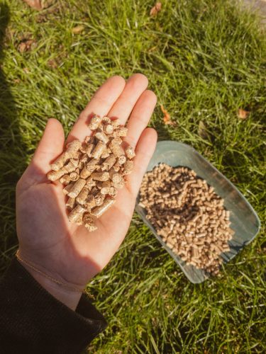  Holzpellets – Palette mit 40 Säcken à 15 kg