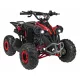  Fahrzeug ATV RENEGADE HIPERFECT 110CC Rot