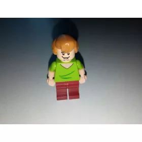  LEGO Scooby-Doo Figur – SCD003 Shaggy Rogers