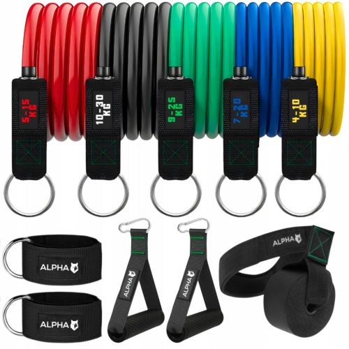  SET MIT 5 WIDERSTANDSLEITFADEN FÜR ÜBUNGEN, FITNESSBÄNDER, EXPANDER ALPHA