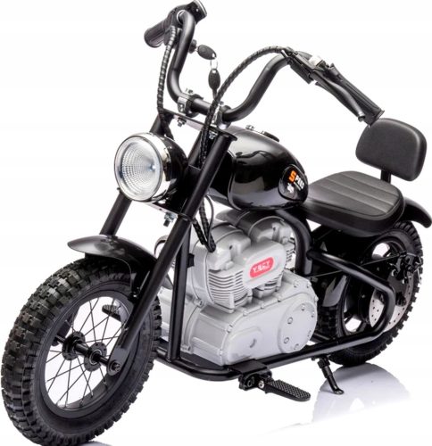  2-RAD-ELEKTROMOTOR, AUFGEBLASENE RÄDER, 24 V, LEISTUNG 250 W