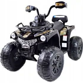  QUAD POWER BATTERIE 12V 2 EVA-RADMOTOREN