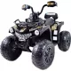  QUAD POWER BATTERIE 12V 2 EVA-RADMOTOREN