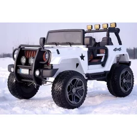  ELEKTRISCHER JEEP 2 SITZ 24V 4x120W PILOT AMORY
