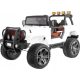  2-SITZ-OFFROAD-JEEP 24V 4x90W PILOT AMORY
