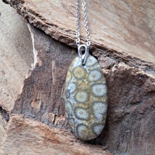  Anhänger Anhänger Korallenfossil Fossil schöne Zeichnung Silber