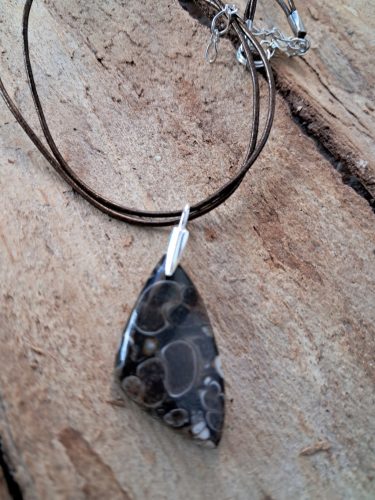  Anhänger Anhänger Muschel Achat Turitella Fossil Gelegenheit Silber