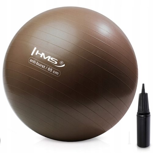  HMS Rehabilitations-Gymnastikball ANTI-BURST für Fitnessübungen 65 cm