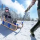  Schneeschlitten, faltbarer Kinderschlitten mit Rückenlehne, Holzschlitten