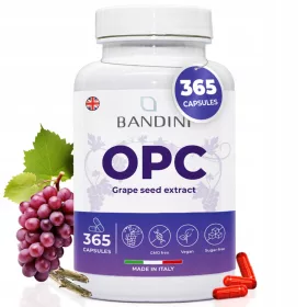   OPC Traubenkernextrakt Kapseln - Hochdosiertes Antioxidans für Haut, Haare & Immunsystem