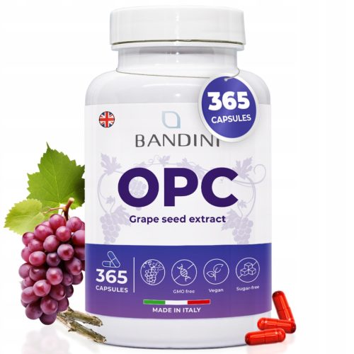 OPC Traubenkernextrakt Kapseln - Hochdosiertes Antioxidans für Haut, Haare & Immunsystem