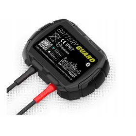  intAct BATTERY-GUARD T3E278 Bluetooth-Batteriemonitor £747
