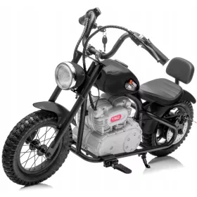    2-RAD-MOTOR, AUFGEBLASENE RÄDER, 24-V-BATTERIE, 250-W-LEISTUNG